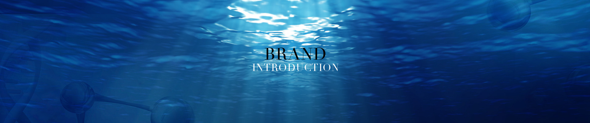 Brand Introduction