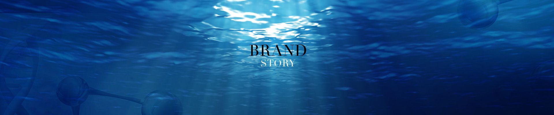 Brand Story