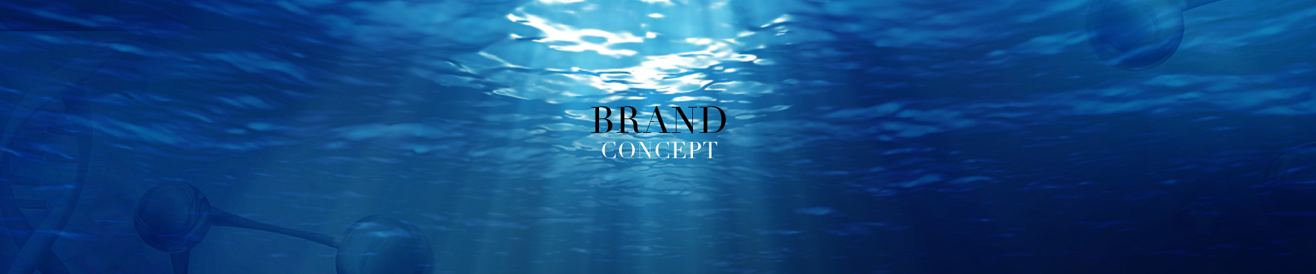 Brand Concepts